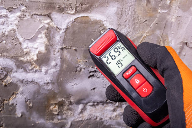 Home Mold Removal in Burr Ridge, IL